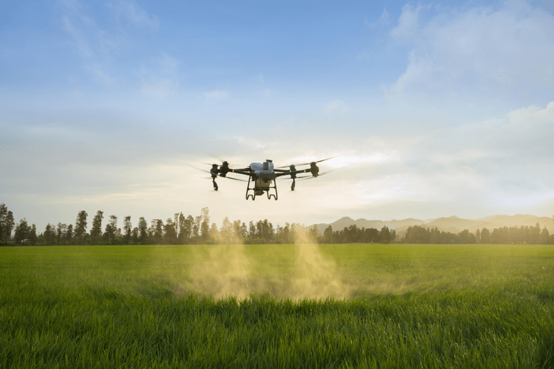 image of DJI Agras T50 spraying Spraying for Pasture Weed Control