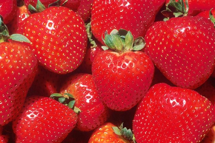 image of Florida grown strawberries