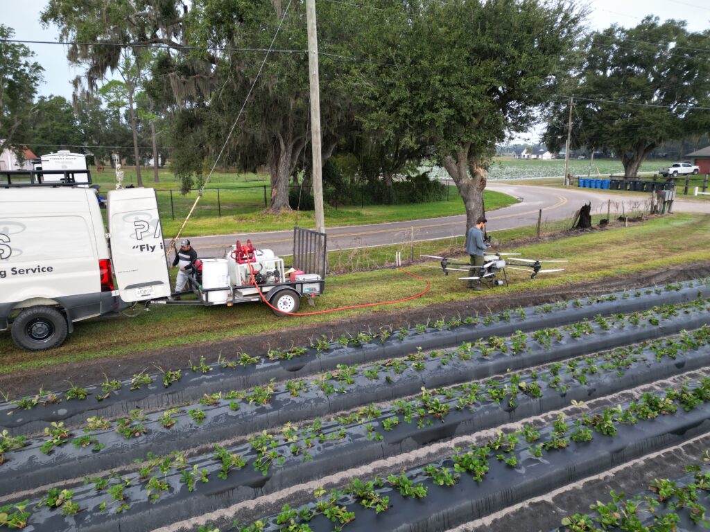Image of PASUAV spray drone over Farm N 4 U strawberry fields