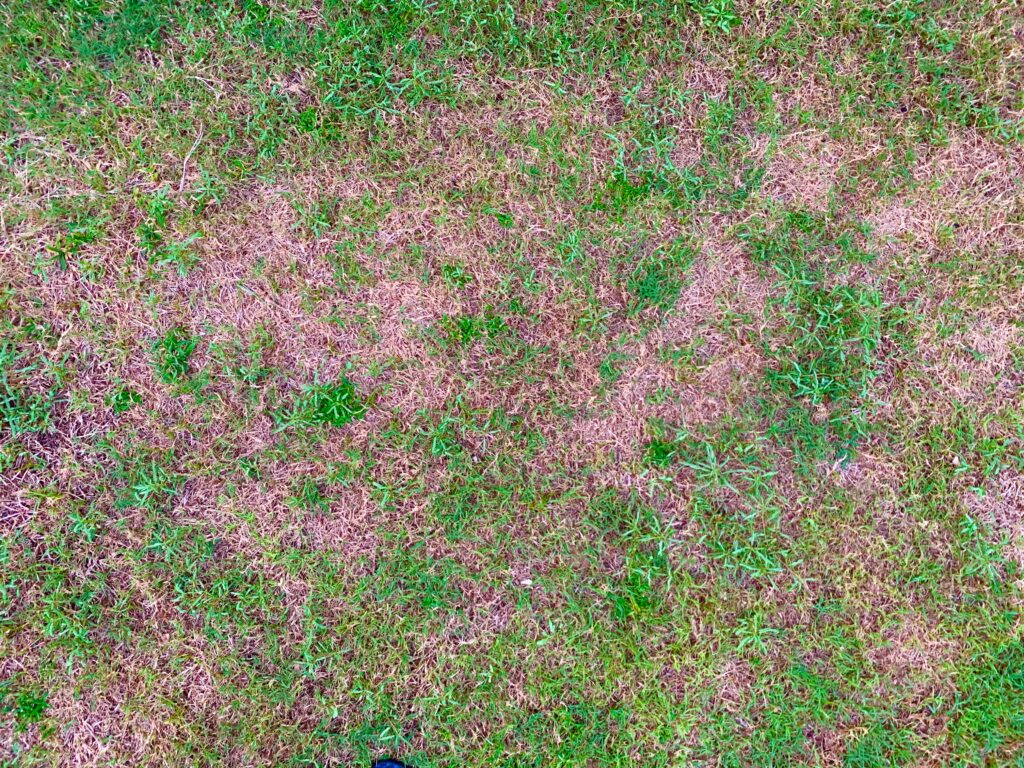 image of damaged field form weather 