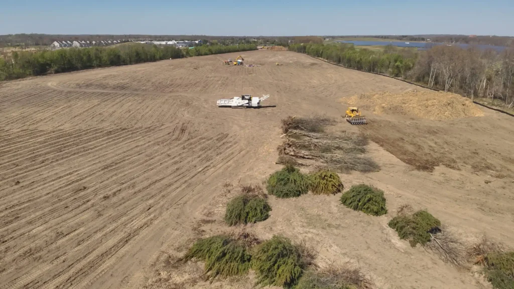 image of harvested forest land